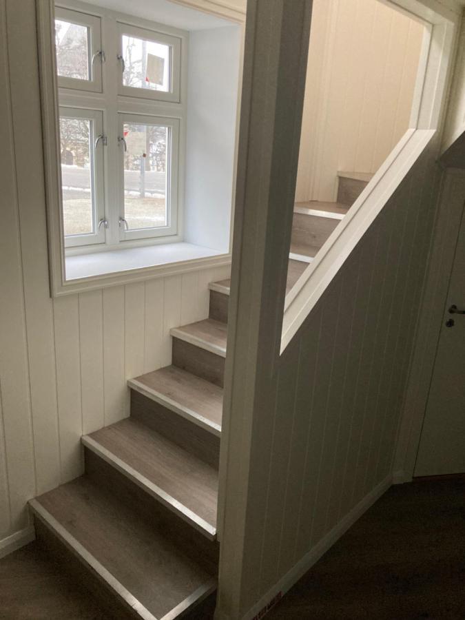 Downtown Historical House With Renovated Apartments オーレスン エクステリア 写真